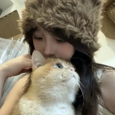 动画纪录